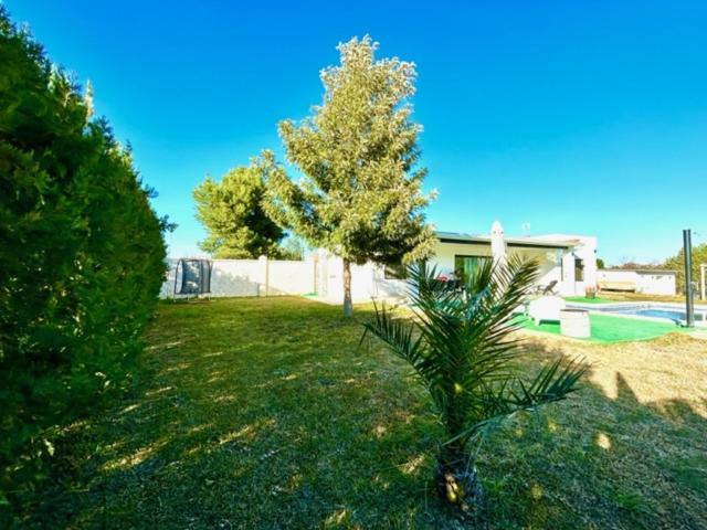 Villa Ole Tu Andalucia Sanlúcar la Mayor Esterno foto